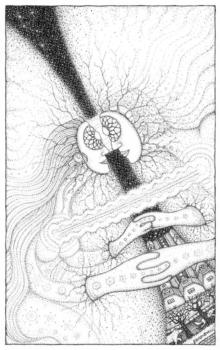 2018-12-20 Connexion