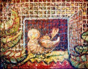 tourterelle a la patte cass